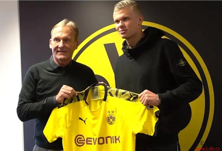 和对线强度 和对线强度