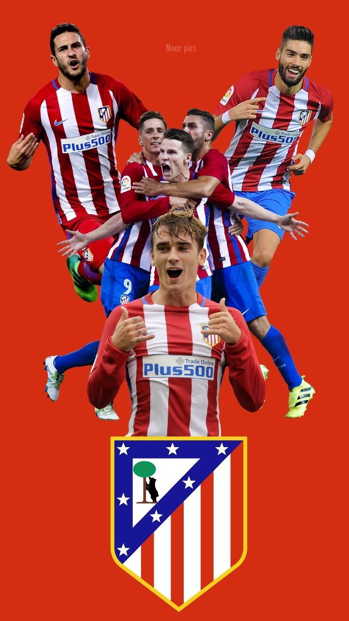 选择把一条 选择把一条